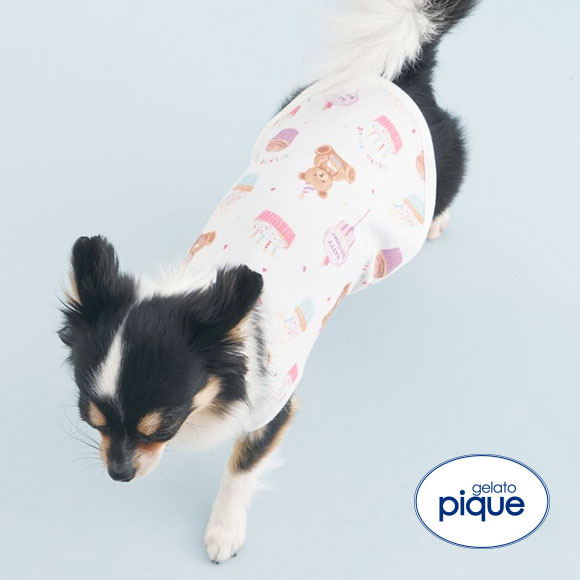 ジェラートピケ CAT&DOG Birthday バースデー柄プルオーバー gelato pique