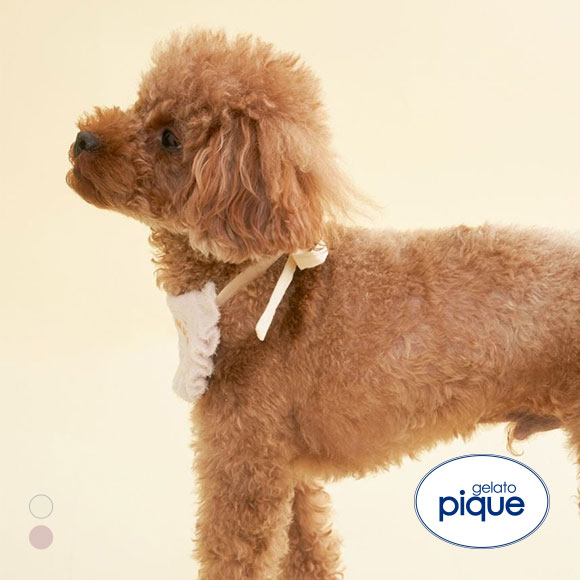 ジェラートピケ CAT&DOG Birthday スムーズィーバースデースタイ ジェラピケ gelato pique