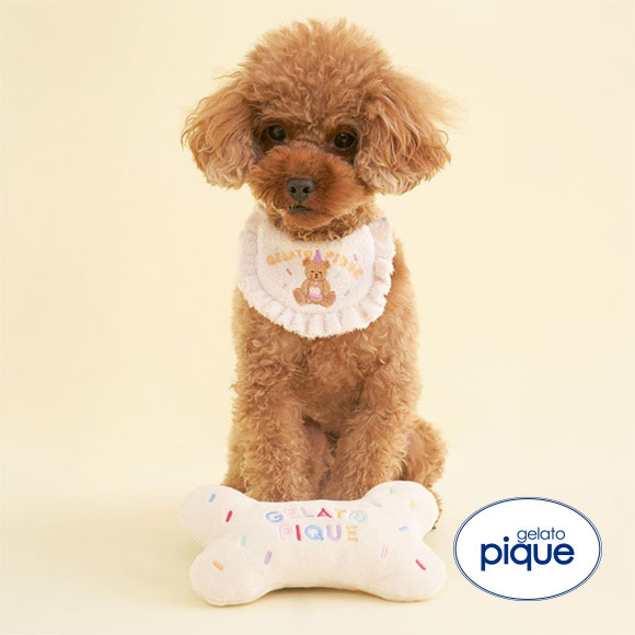 ジェラートピケ CAT&DOG Birthday ボーントイ gelato pique