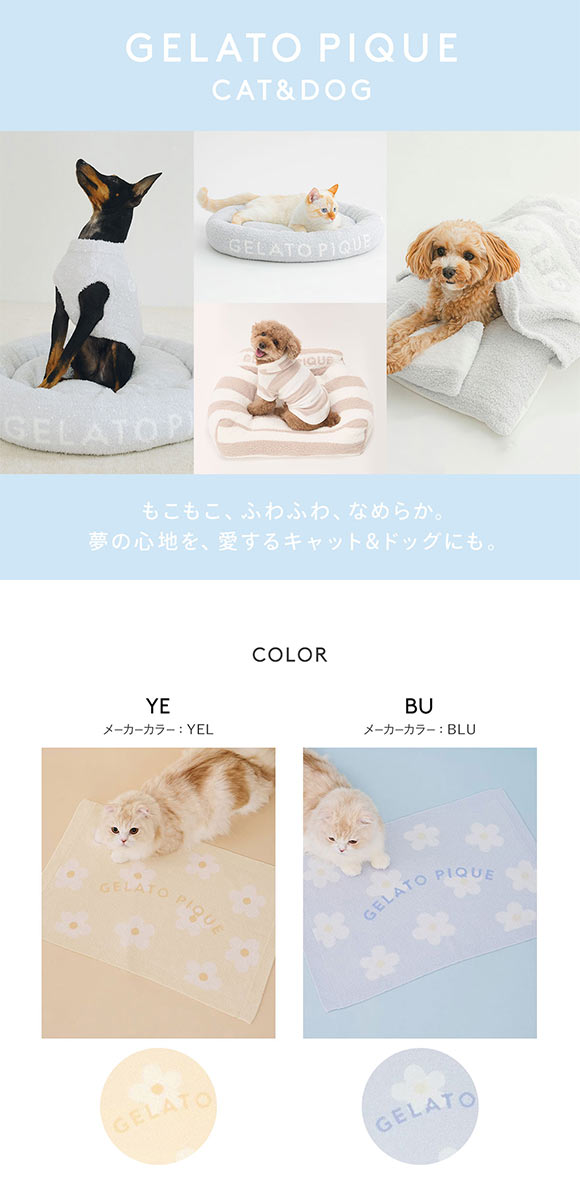 ジェラートピケ CAT&DOG スムーズィーフラワージャガードブランケット ジェラピケ gelato pique 猫の日