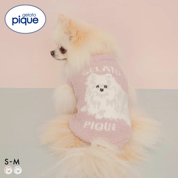 sari-　gelato pique ペット　犬服　ベアジャガード　S.L ジェラートピケ CAT&DOG ポメラニアジャガードプルオーバー ジェラピケ