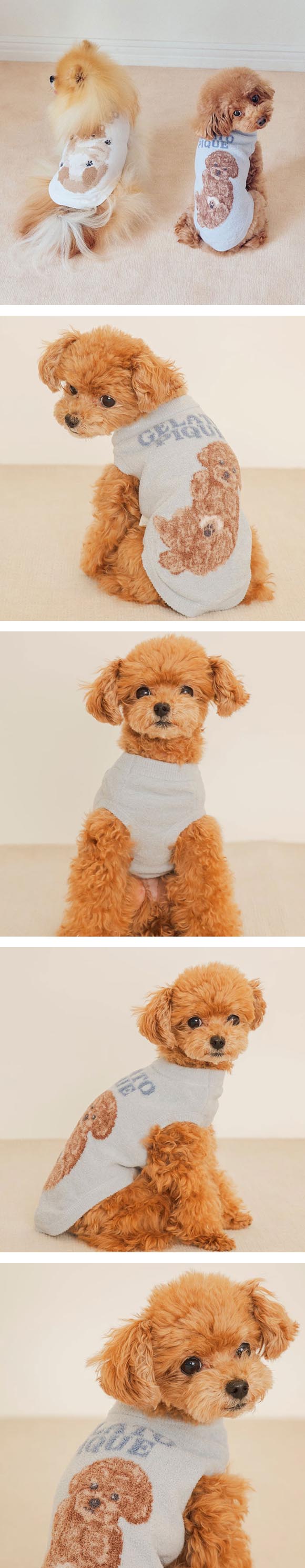 ジェラートピケ CAT&DOG ドッグジャガードプルオーバー ジェラピケ gelato pique