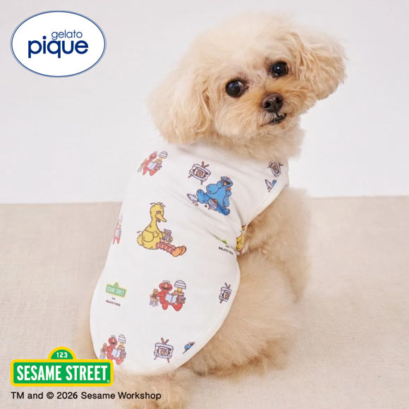 ジェラートピケ CAT&DOG SESAME STREET カットソープルオーバー セサミ