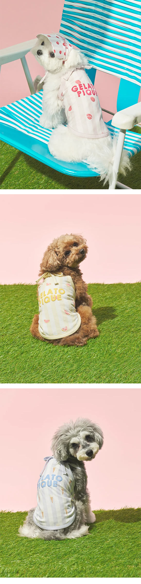 ジェラートピケ CAT&DOG 接触冷感 ストライプ柄Coolingプルオーバー ジェラピケ gelato pique