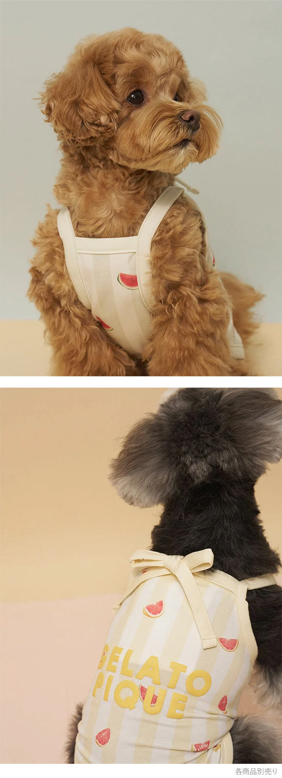 ジェラートピケ CAT&DOG 接触冷感 ストライプ柄Coolingプルオーバー ジェラピケ gelato pique