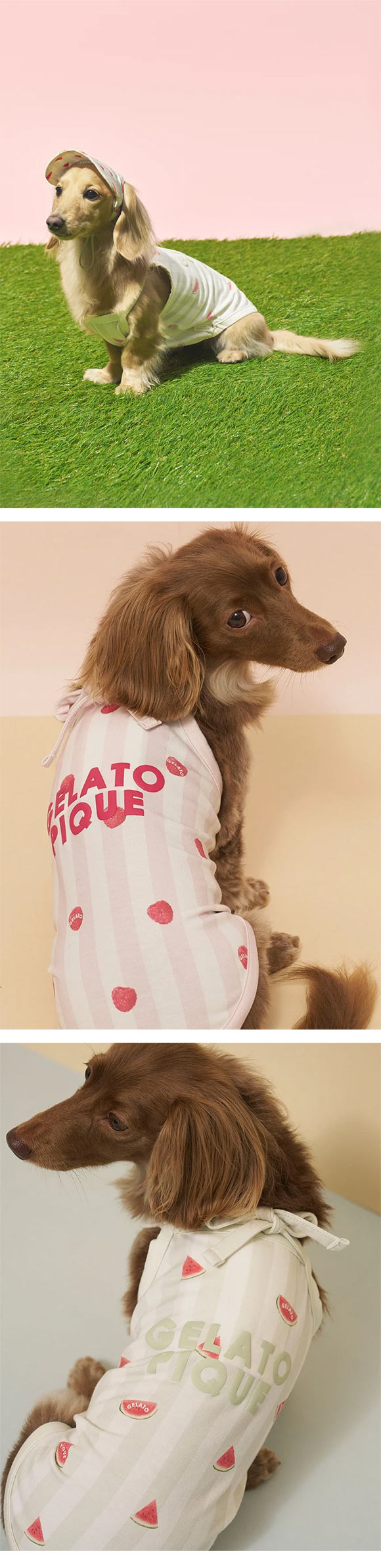 ジェラートピケ CAT&DOG 接触冷感 ダックスフンドサイズCoolingプルオーバー ジェラピケ gelato pique