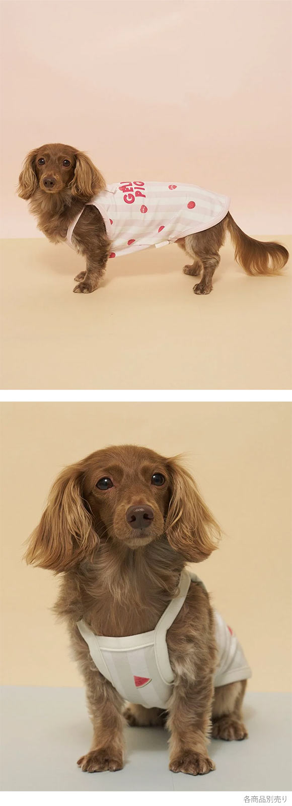 ジェラートピケ CAT&DOG 接触冷感 ダックスフンドサイズCoolingプルオーバー ジェラピケ gelato pique