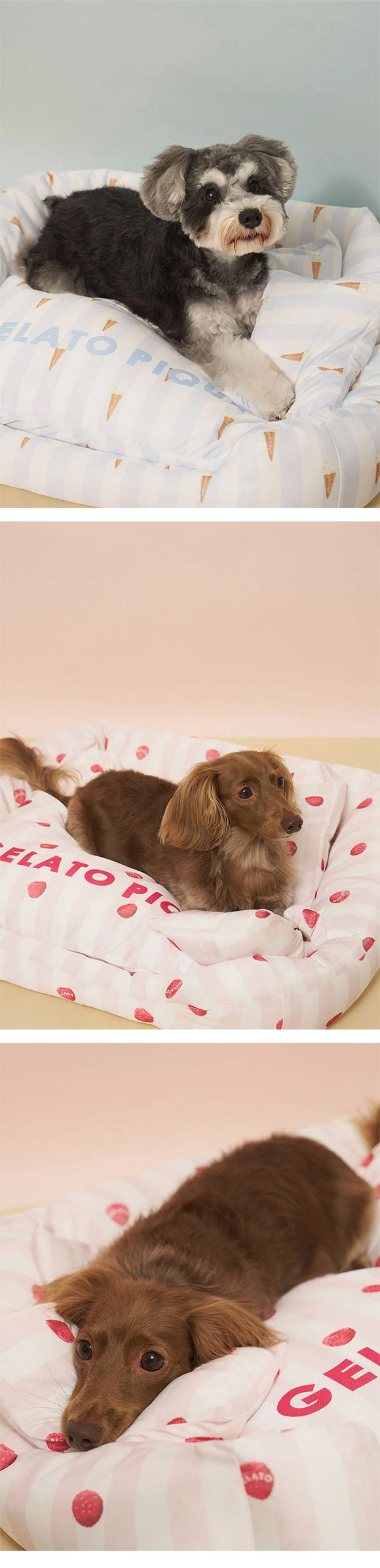 ジェラートピケ CAT&DOG 接触冷感 CoolingベッドM ジェラピケ gelato pique