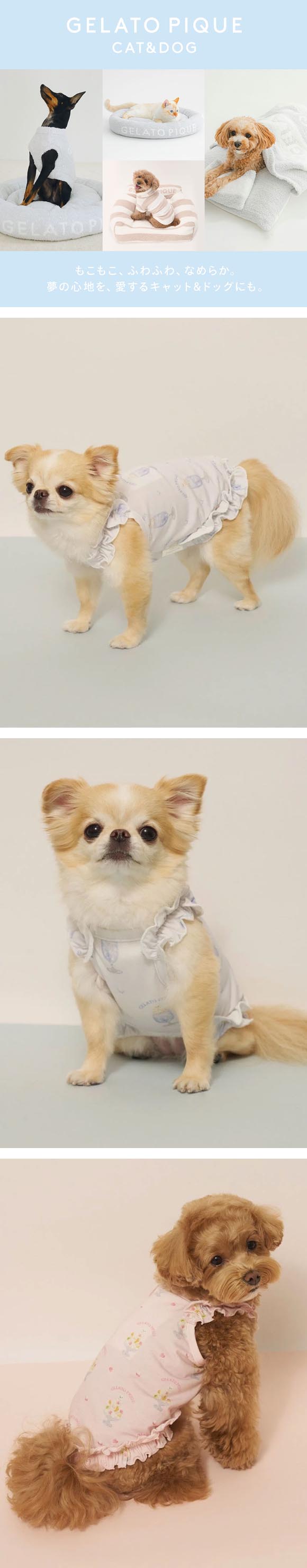 ジェラートピケ CAT&DOG 接触冷感 シロクマひんやりスイーツ柄 Coolingフリルプルオーバー ジェラピケ gelato pique