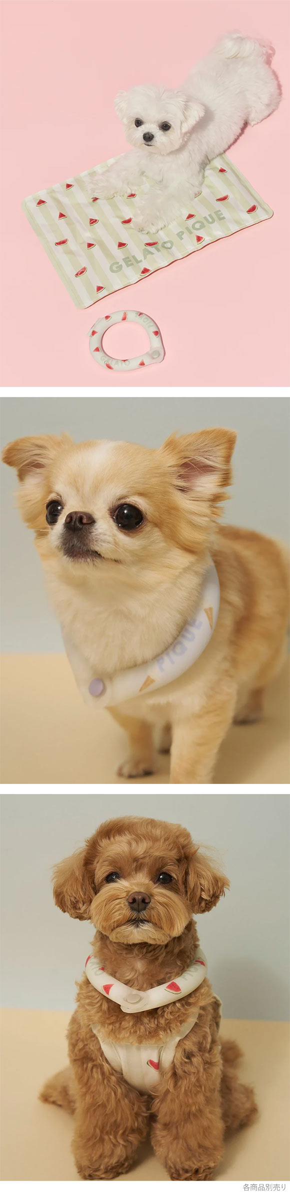 ジェラートピケ CAT&DOG サマーモチーフ柄Coolingネックリング ジェラピケ gelato pique