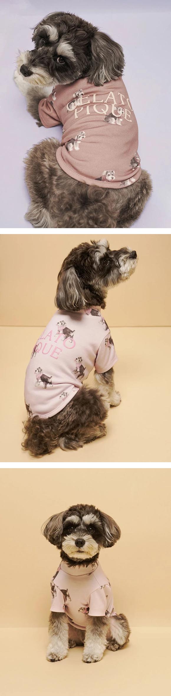ジェラートピケ CAT&DOG シュナウザー柄カットソープルオーバー ジェラピケ gelato pique
