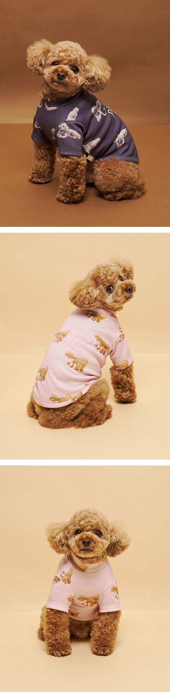 ジェラートピケ CAT&DOG トイプードル柄カットソープルオーバー ジェラピケ gelato pique