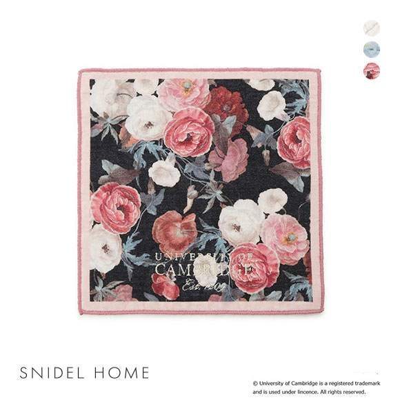 スナイデルホーム UnivofCambridge ハンドタオル SNIDEL HOME
