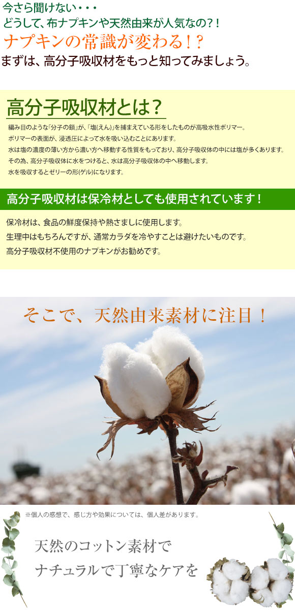 ナチュラムーン Natura Moon 生理用ナプキン 多い日の昼用 羽なし 18個入