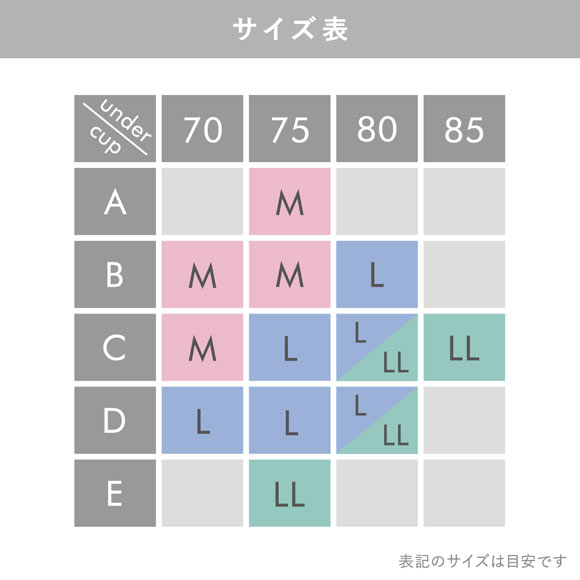 サンエイ ホットブロッサム ノンワイヤー ブラセット M L LL 脇肉 谷間 盛り ブラジャー ショーツ セット SANEI