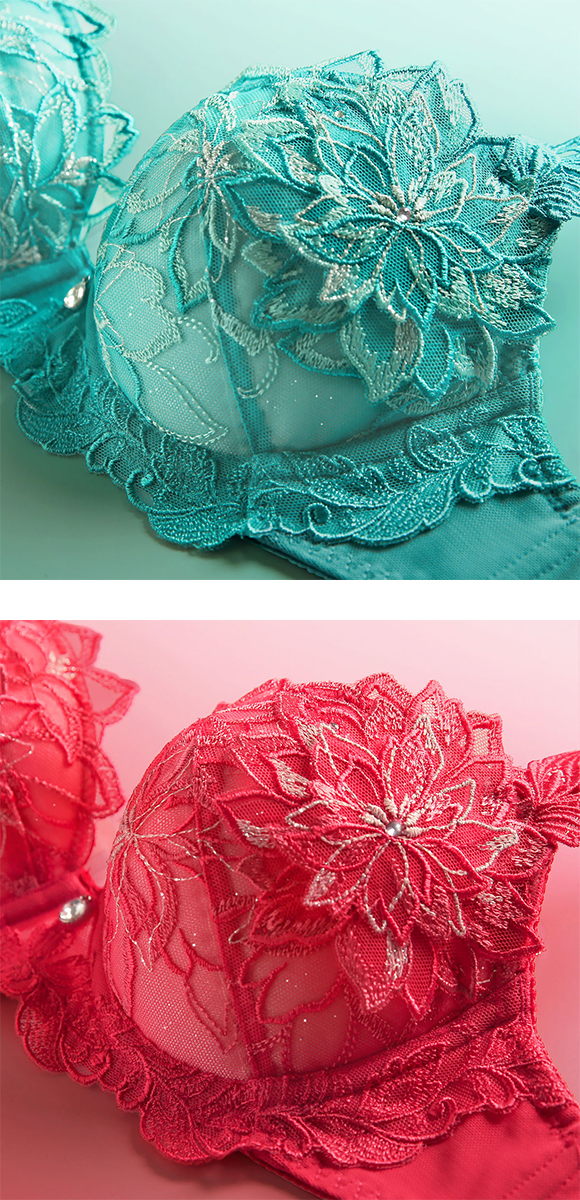 HIMICO 儚く神秘的な Regina della Notte ブラジャー BCDEF 011series 単品