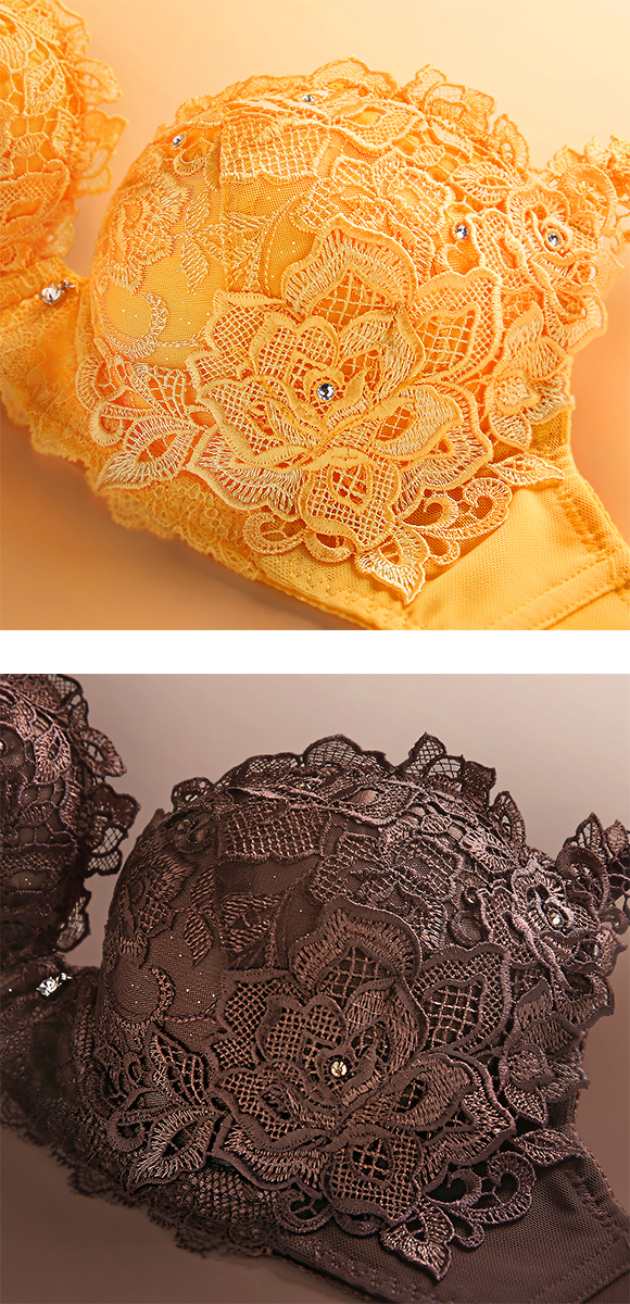 HIMICO 洗練されたモダンな雰囲気 Rosa Urbane ブラジャー BCDEF 012series 単品