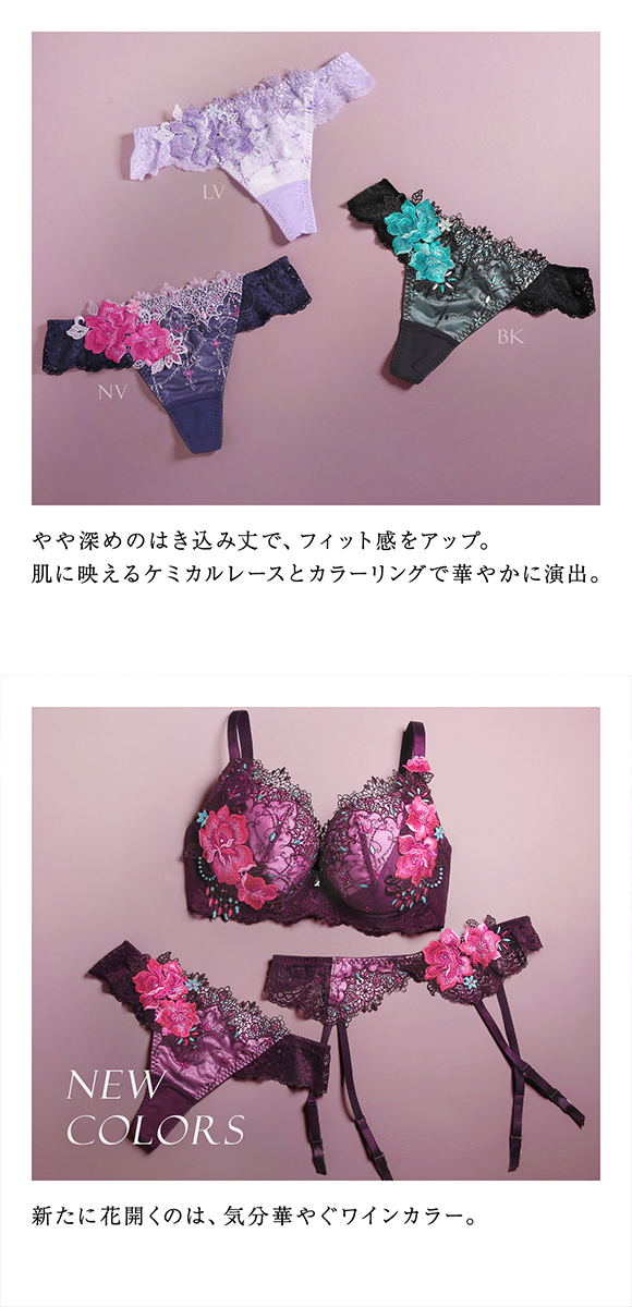 HIMICO GRANDE ヒミコ ショーツ Tバック ソング タンガ 大きいサイズ グラマー M L LL バックレース 単品 001series ランジェリー