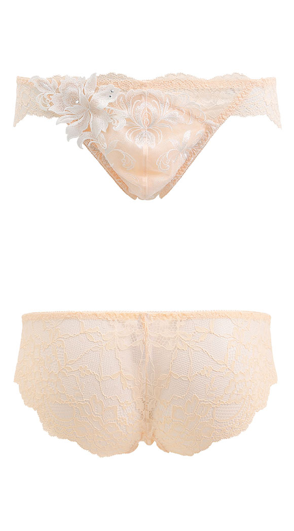 HIMICO ヒミコ フルバック パンツ バックレース ビキニ ブリーフ メンズ M L 022series