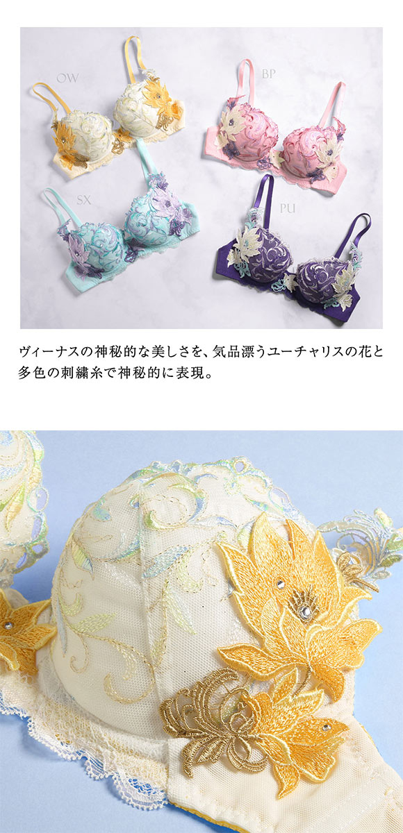 ヒミコ 024シリーズ HIMICOブラジャー 下着 レディース 勝負下着 セクシー 刺繍 ランジェリー ワイヤーブラ 大きいサイズ 白鳩