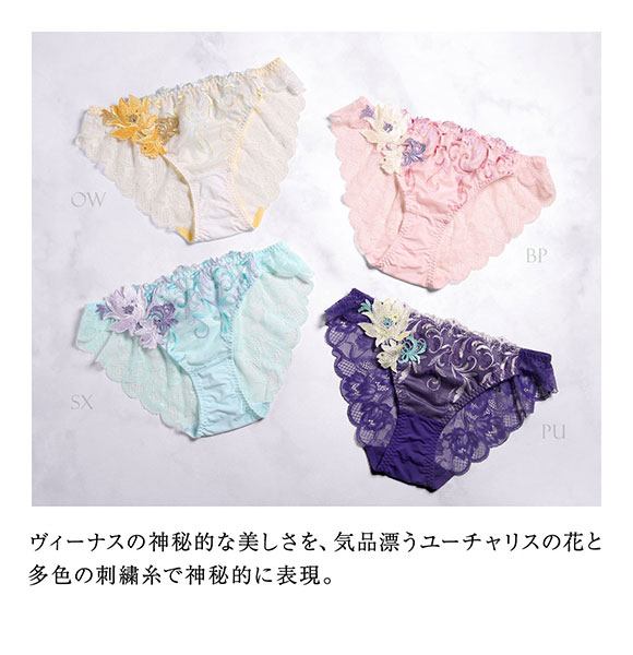 ヒミコ 024シリーズ ショーツ スタンダード M L バックレース ランジェリー HIMICO