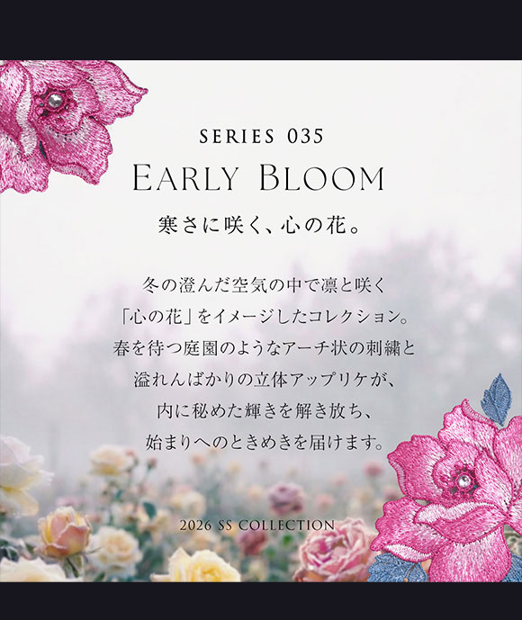 ヒミコ 035シリーズ ブラジャー 大きいサイズ アンダー80 B C D E F ランジェリー HIMICO