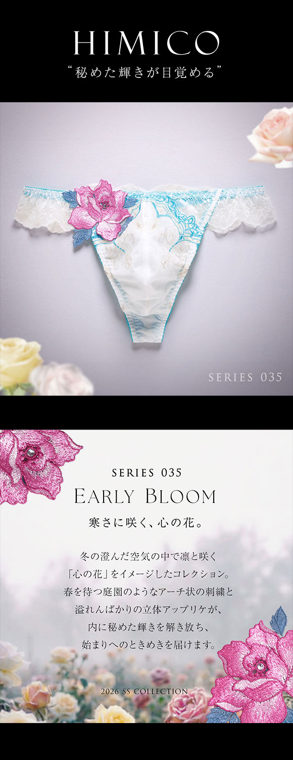 ヒミコ 035シリーズ Tバック パンツ バックレース タンガ メンズ M L HIMICO