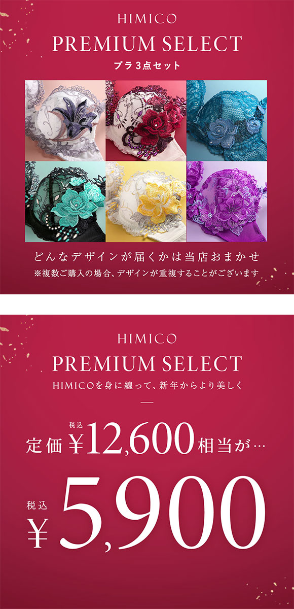 ヒミコ ブラジャー 福袋 大きいサイズ レディース セット 刺繍レース 2026 お得 下着 3点