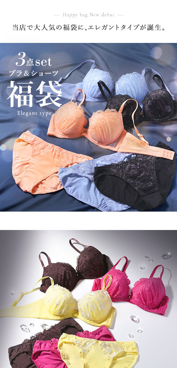 ブラジャー ショーツ セット 3点 福袋 エレガントタイプ おまかせ 刺繍レース