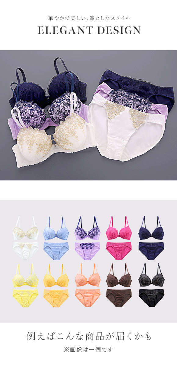 ブラジャー ショーツ セット 3点 福袋 エレガントタイプ おまかせ 刺繍レース