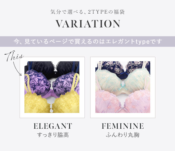 ブラジャー ショーツ セット 3点 福袋 エレガントタイプ おまかせ 刺繍レース