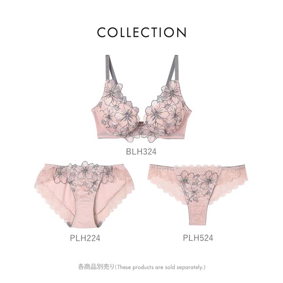 アンフィ 整える機能のブラ ペアショーツ Tバックショーツ ソング バックレース BLH324シリーズ PLH524 M 下着 AMPHI