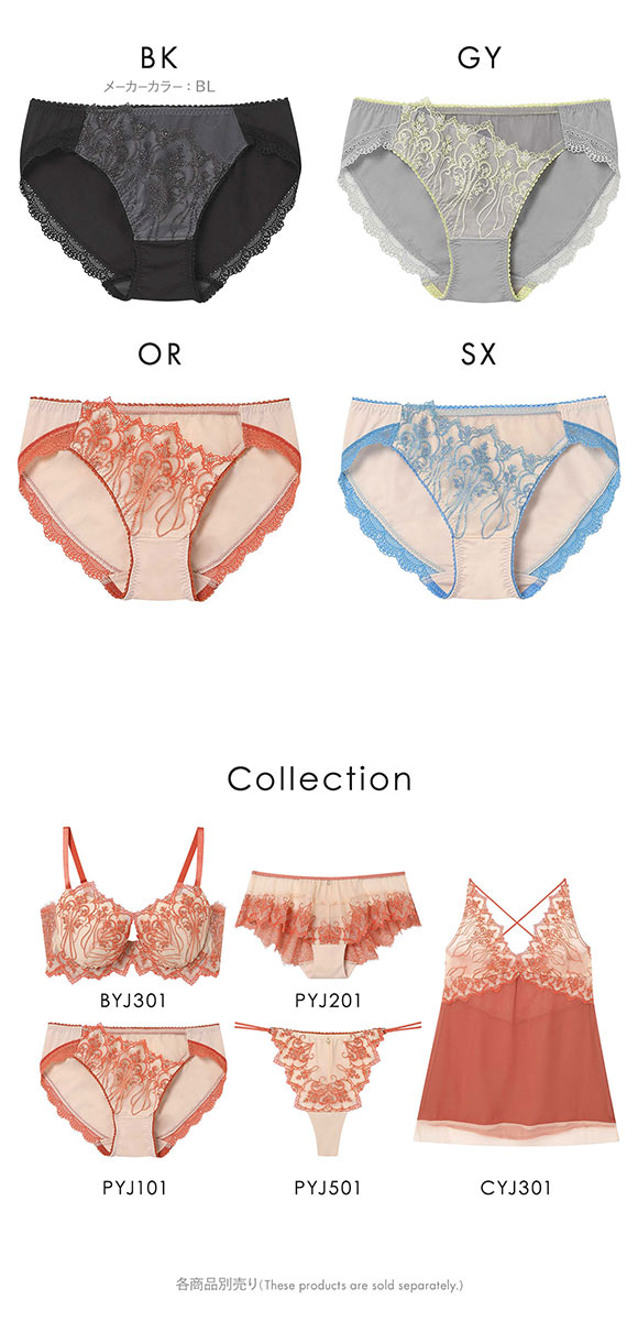 アンフィ ホールドデイブラ ペアショーツ ノーマル ML BYJ301シリーズ AMPHI Hold Day Bra