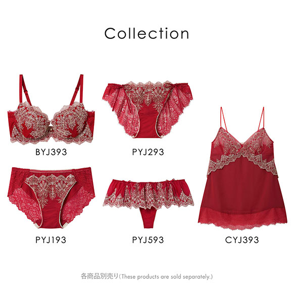 アンフィ ホールドデイブラ ペアショーツ ノーマル BYJ393シリーズ ML AMPHI Hold Day Bra