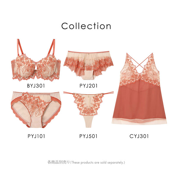 アンフィ ホールドデイブラ ペアショーツ バックレース ML BYJ301シリーズ AMPHI Hold Day Bra