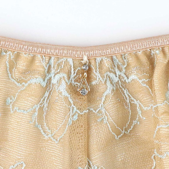 アンフィ ふわふわブラ ペアショーツ ボーイレングス 総レース ひびきにくい BYJ394シリーズ AMPHI