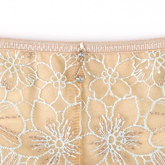 アンフィ ふわふわブラ ペアショーツ Tバックショーツ バックレース BYJ394シリーズ AMPHI