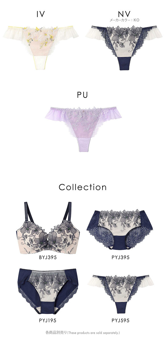 アンフィ グラマリッチ ペアショーツ Tバックショーツ バックレース チュール BYJ395シリーズ AMPHI