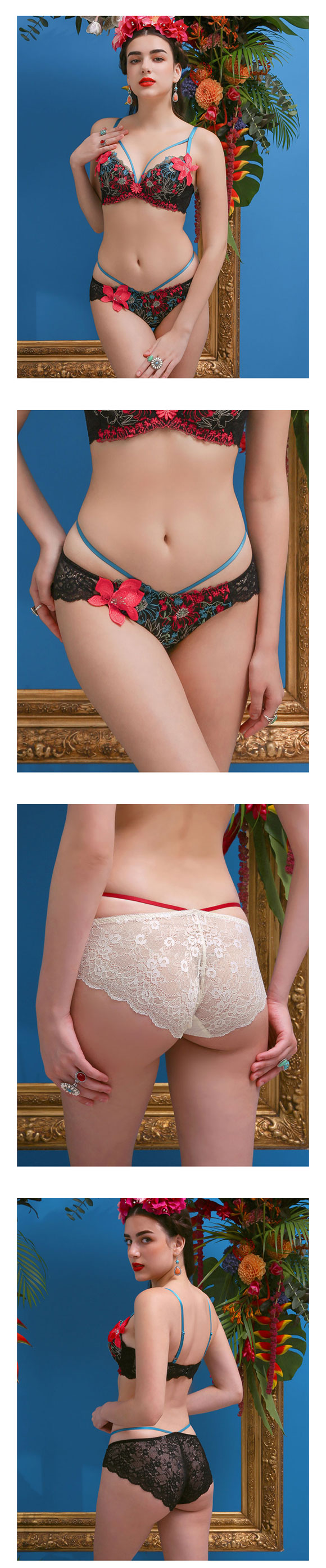 ARTE 002シリーズ ショーツ スタンダード M L バックレース ランジェリー