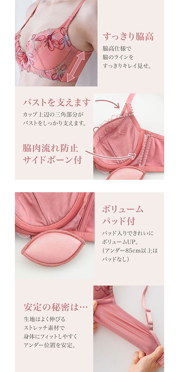 【ニッセンとトリンプ共同企画】脇高刺しゅう コスモス レースブラジャーショーツセット ABCD