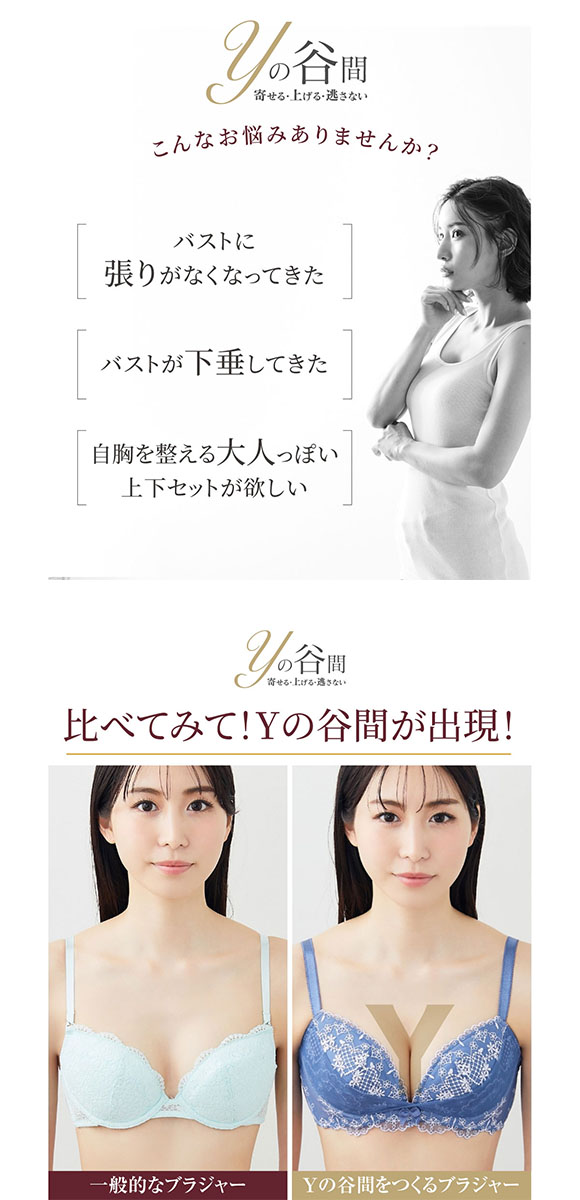 【ニッセンとトリンプ共同企画】Yの谷間をつくるブラジャーショーツセット EF 大きいサイズ