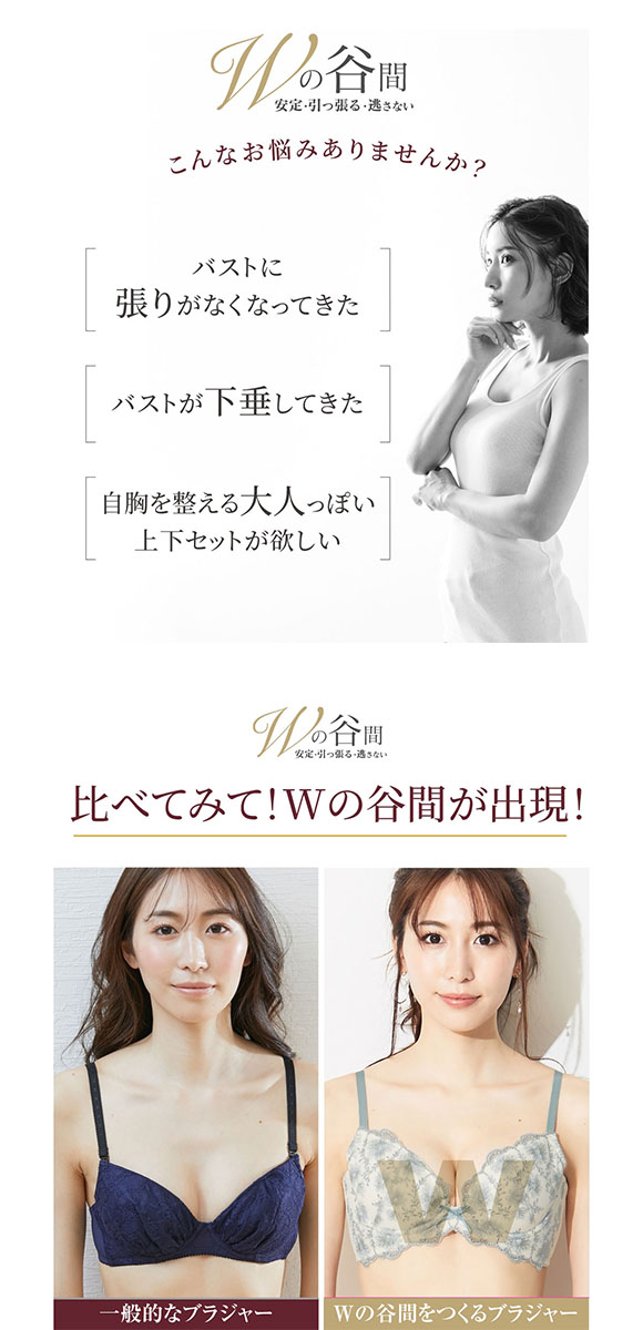 【ニッセンとトリンプ共同企画】Wでバストをあげるブラジャーショーツセット EF 大きいサイズ
