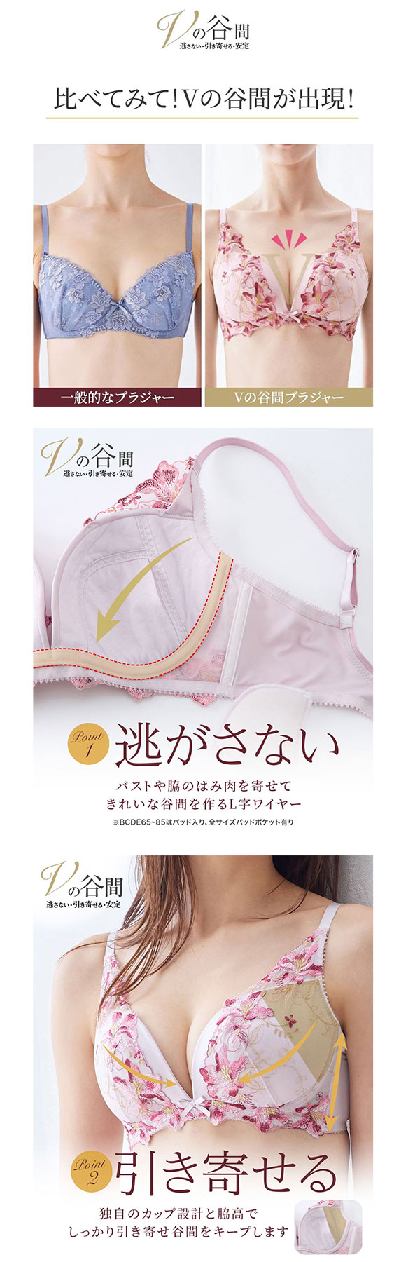 【ニッセンとトリンプ共同企画】Vの谷間 Vにバストをひき寄せるブラジャー BCD