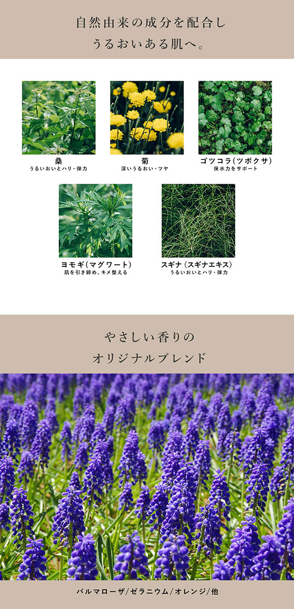 Waphyto ｲﾝﾃｨﾒｲﾄ ウォッシュ 液体タイプ 120ml デリケートゾーン用 日本製 女性用 フェムケア ワフィト