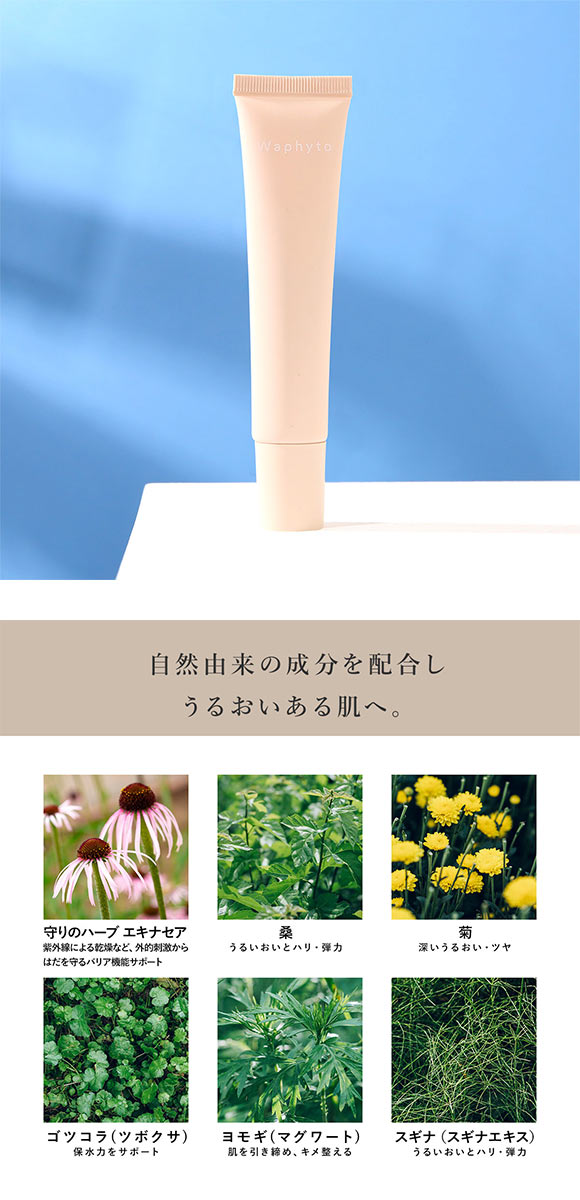 Waphyto UVクリーム 30g 日焼け止め ノンケミカル 化粧下地 SPF50+ PA++++ ワフィト