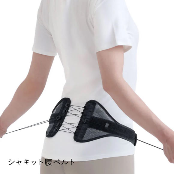 Dr.PRO シャキッと腰ベルト 引っ張る 腰用ベルト メッシュ 男女兼用 薄型 薄い 腰が楽 美姿勢