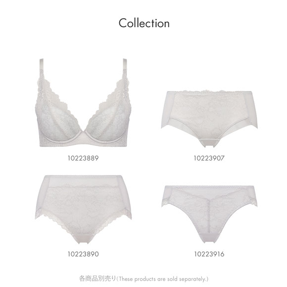 トリンプ TR632 天使のブラ スリムライン レギュラーショーツ スタンダード 3L 大きいサイズ Triumph