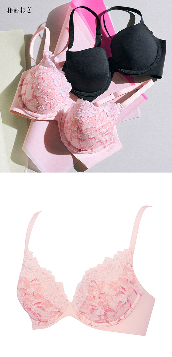 トリンプ TR648 秘めわざ レースタイプ ブラジャー コンフォートワイヤー DEF 大きいサイズ Triumph