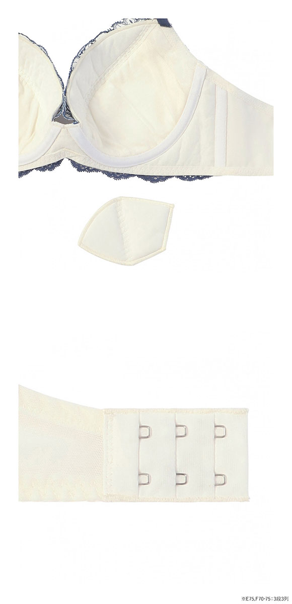 アモスタイル 脇高ブラ AMST1529 ボタニカルモザイク ブラセット ブラジャー ショーツ セット EF 大きいサイズ AMOSTYLE