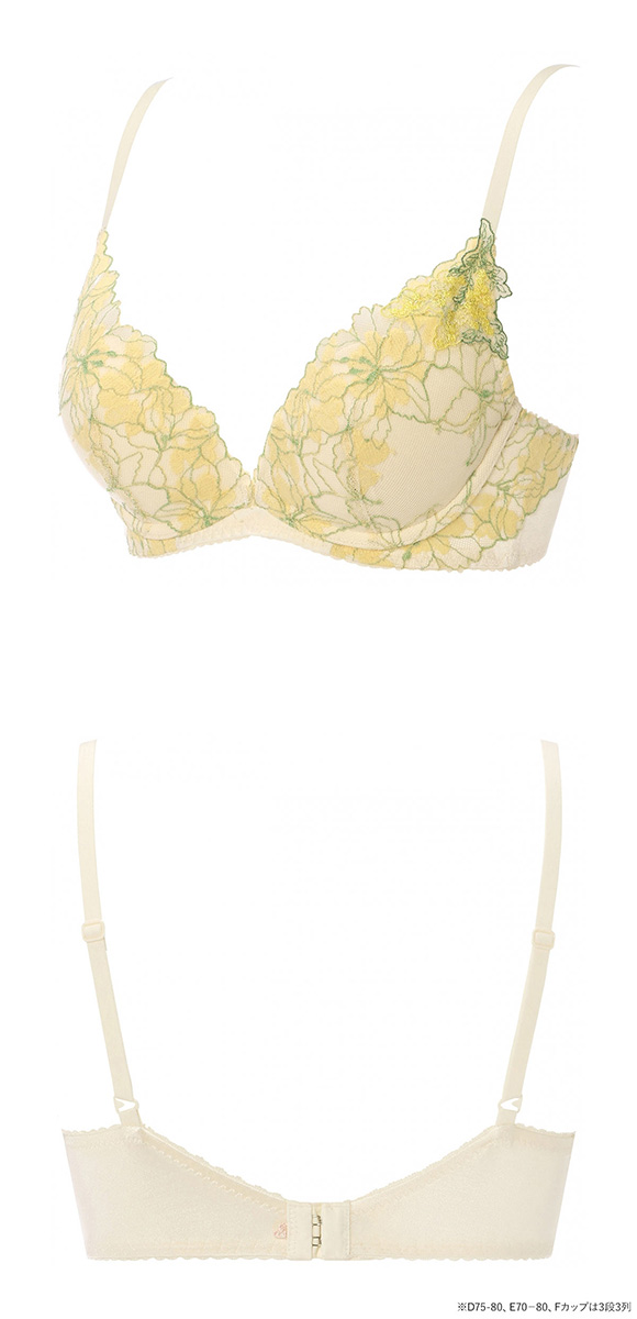 アモスタイル 夢見るブラ AMST1548 DeepV マイブロッサムブーケ 3/4カップ ブラジャー ABCD AMOSTYLE